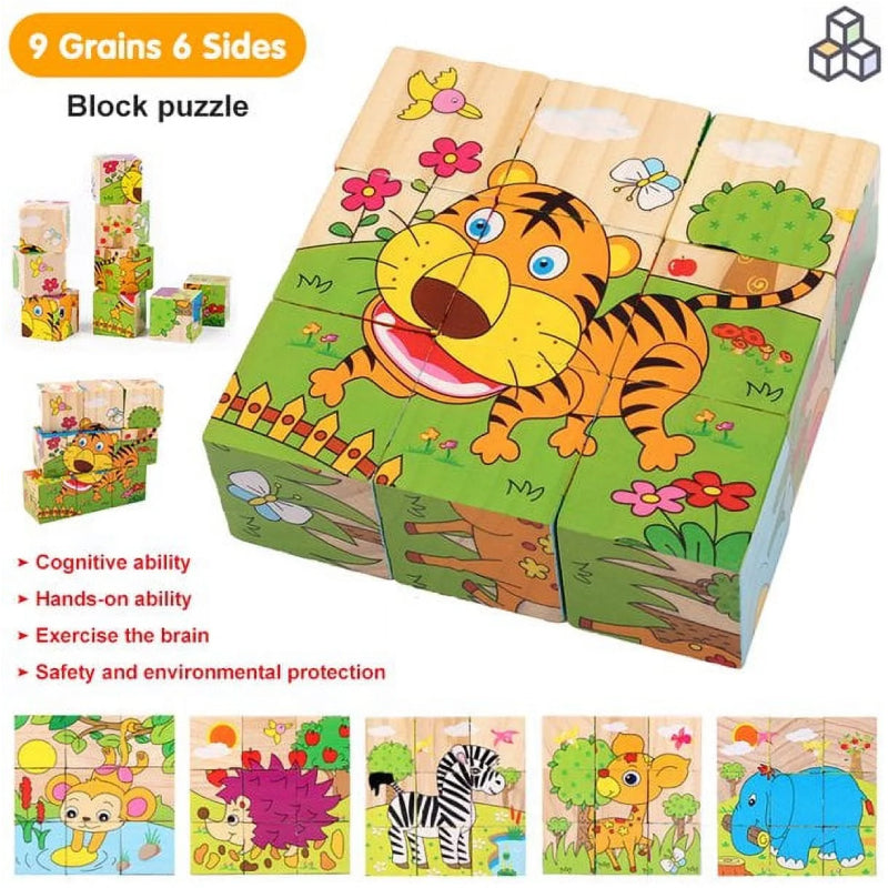 6 Side Painting Fruits Cube Block 3D Wooden Puzzle