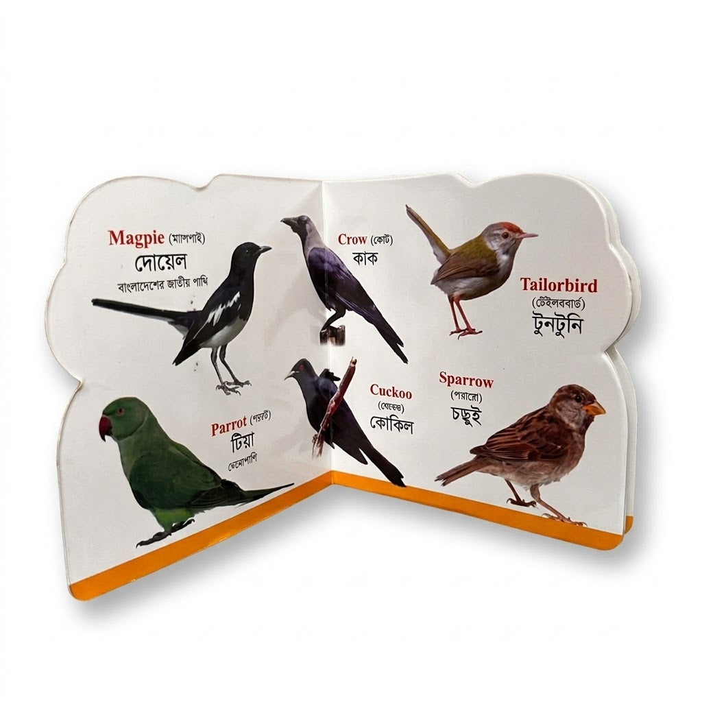 Birds