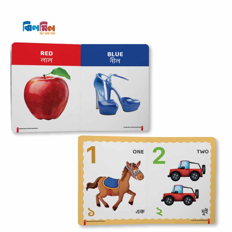 Big Picture Board Book (14 Books) + 8.5 Writing Tab