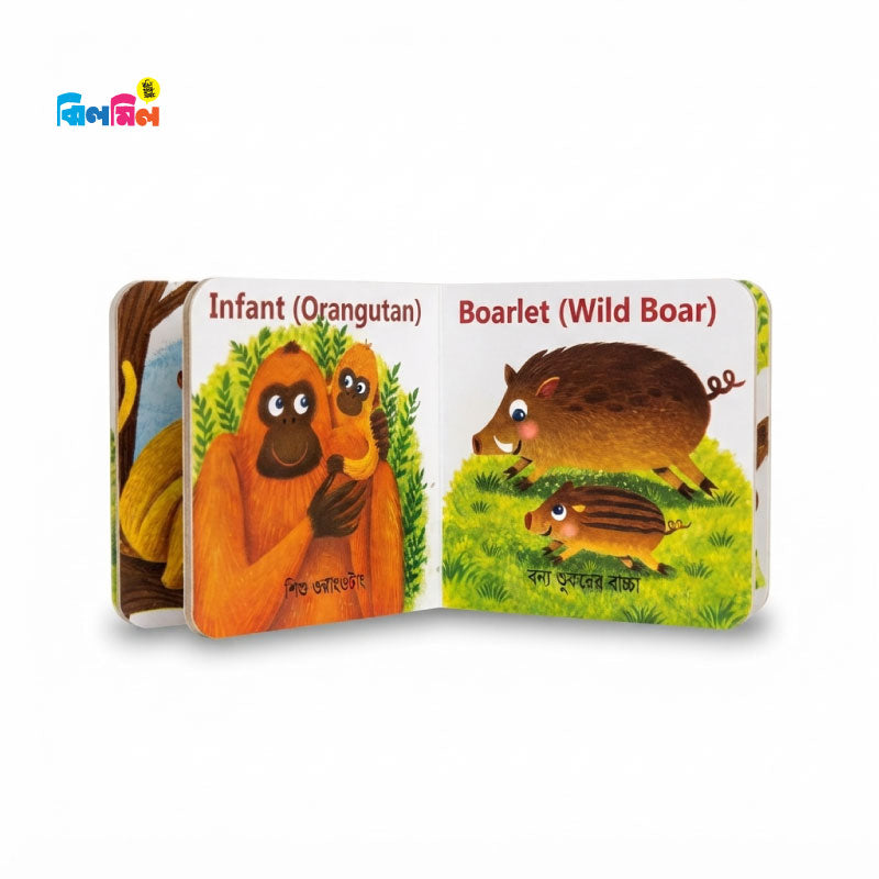 My First Baby Animal Boxset
