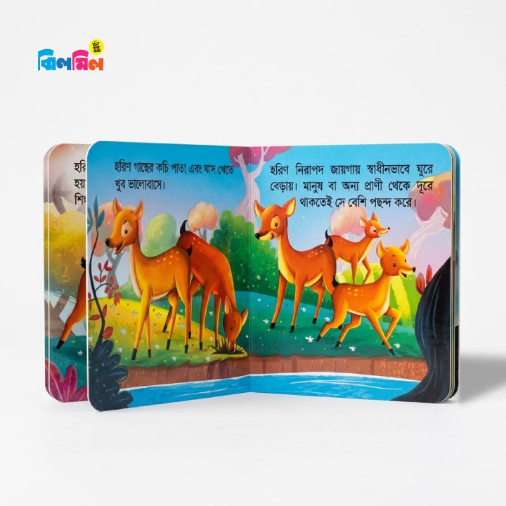 আমার ছোট্ট বই চলো চিনি বনের প্রাণী