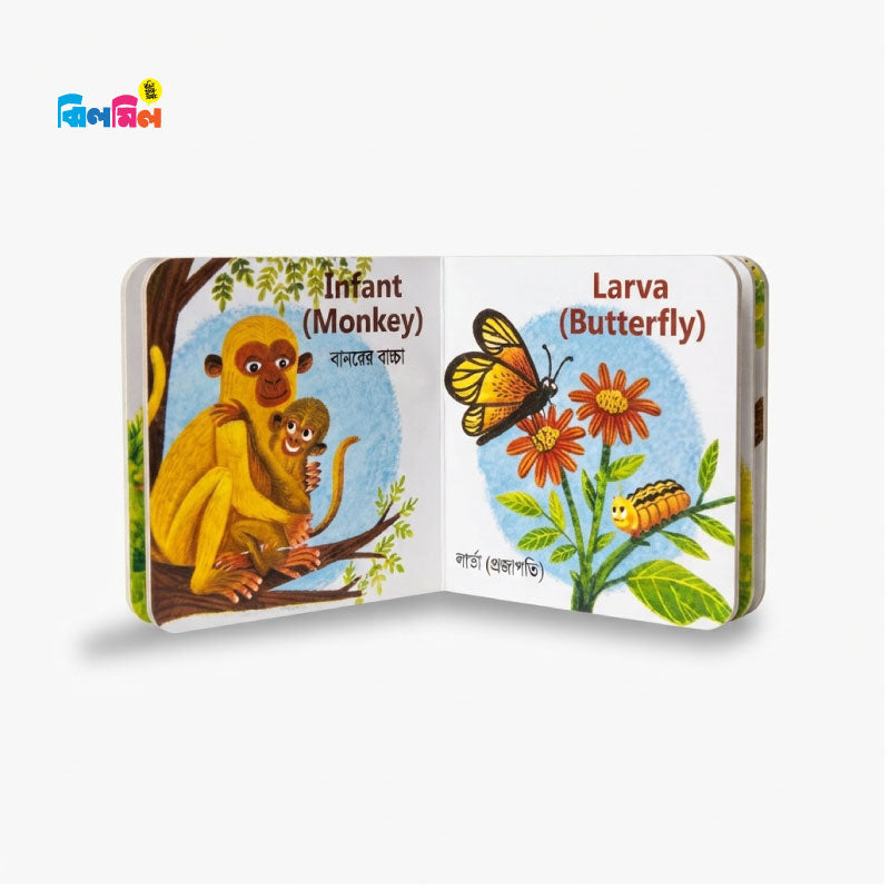 My First Baby Animal Boxset