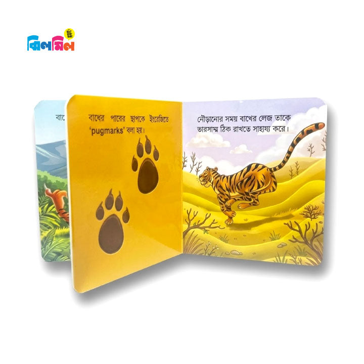 আমার ছোট্ট বই চলো চিনি বনের প্রাণী