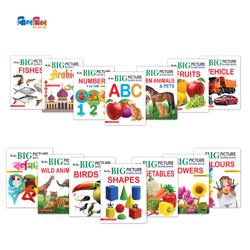 Big Picture Board Book (14 Books) + 8.5 Writing Tab