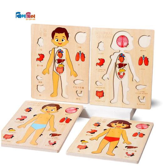 Montessori Human Body Puzzle