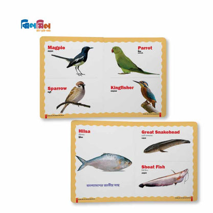 Big Picture Board Book (14 Books) + 8.5 Writing Tab