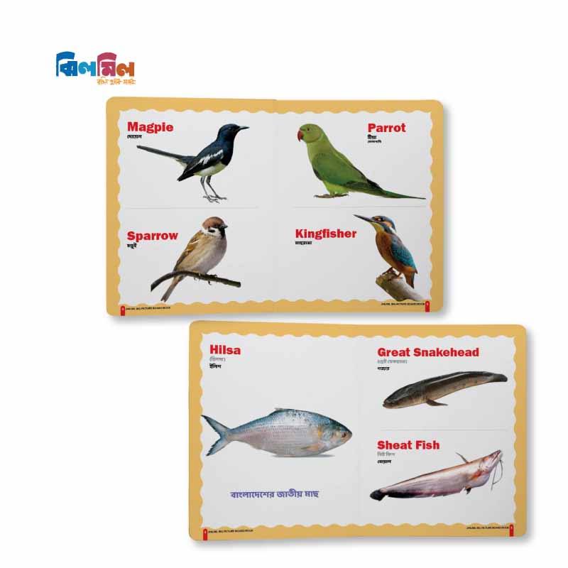 Big Picture Board Book 7 Level - 2