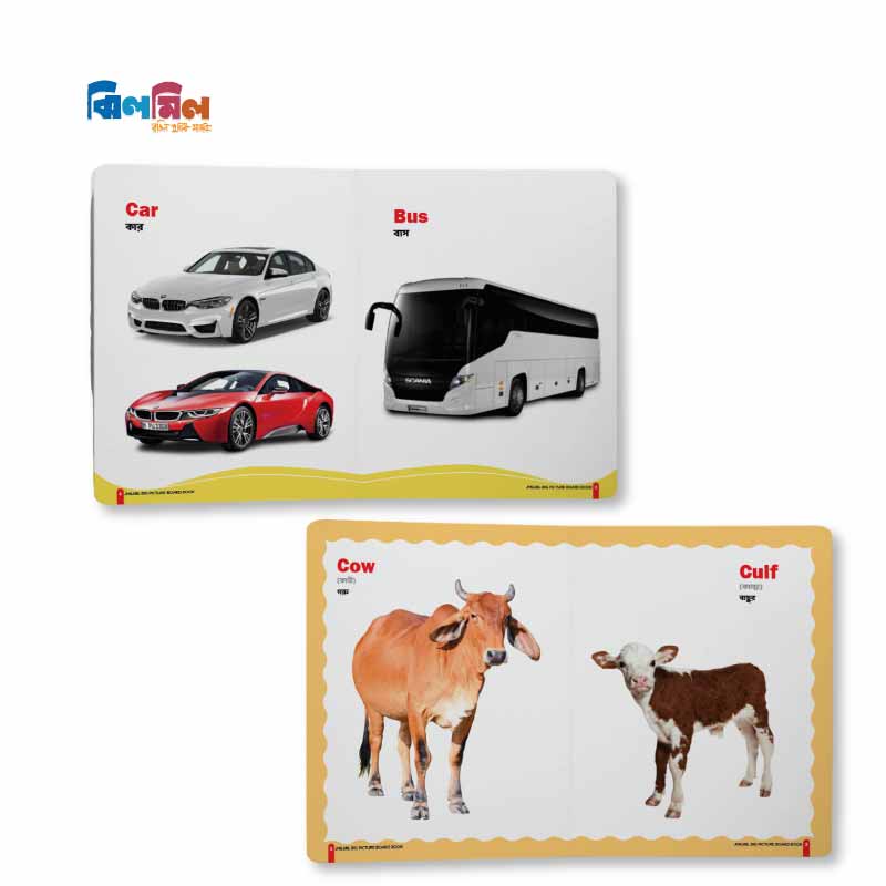 Big Picture Board Book (14 Books) + 8.5 Writing Tab