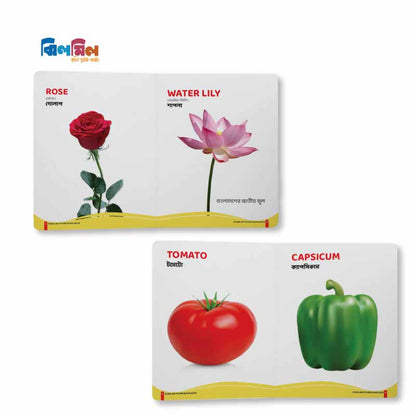 Big Picture Board Book (14 Books) + 8.5 Writing Tab