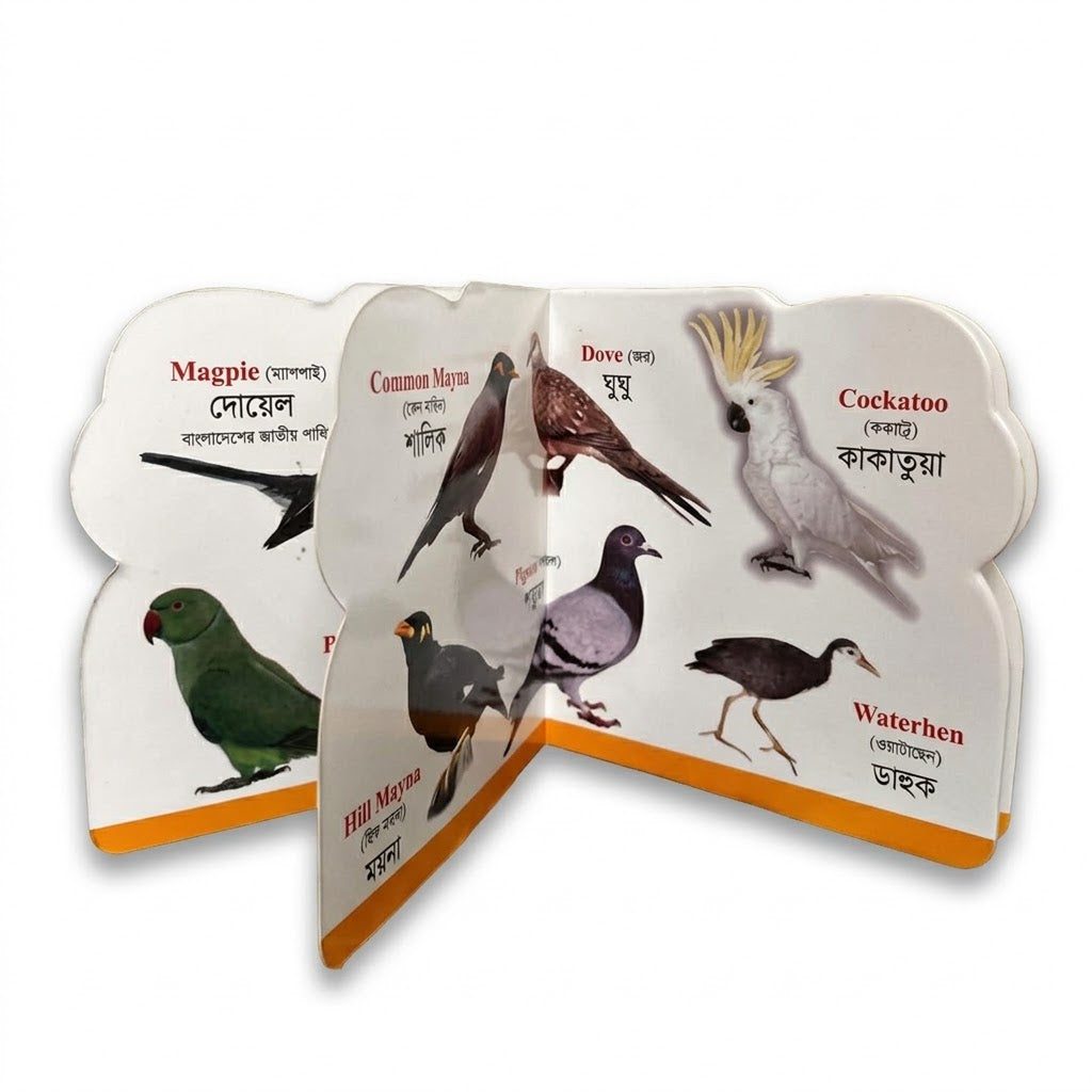 Birds