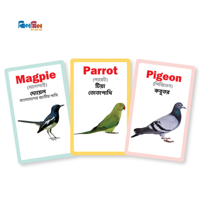 Flash card 7 in One (Small Size)