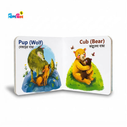 My First Baby Animal Boxset