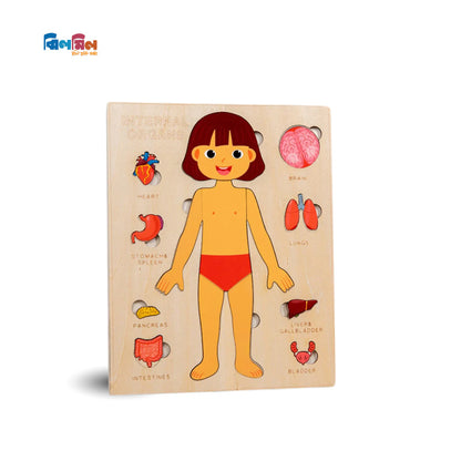 Montessori Human Body Puzzle