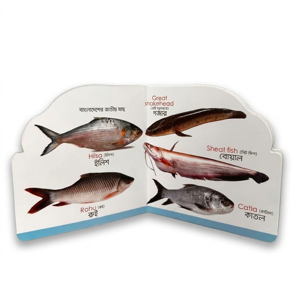 Fish