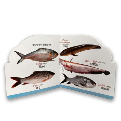 Fish