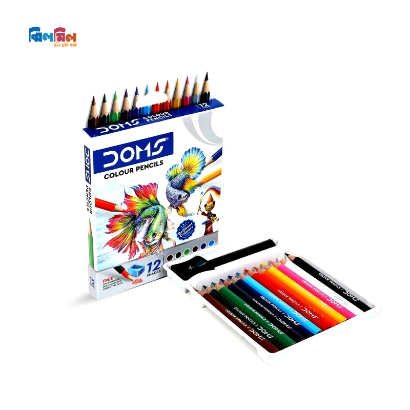 বেবিস ফার্স্ট কালারিং ব্যাগ (১ বাক্সে ১২টি বই)