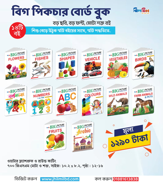 Big Picture Board Book (14 Books)