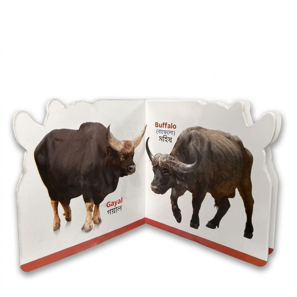 Farm Animals