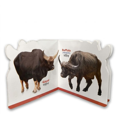 Farm Animals