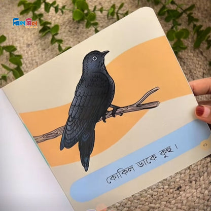 ছানাপোনার গপ্পো (১৫টি বই)