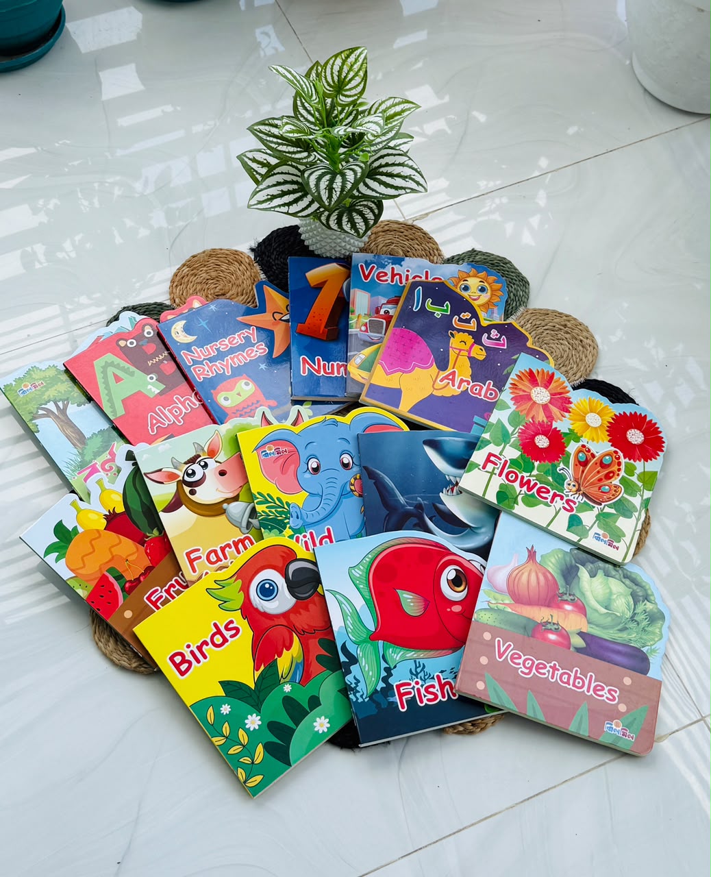 Die-Cut Gyanbox Board Books Set(14 Pcs)