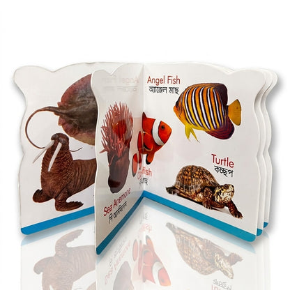 Sea Animals