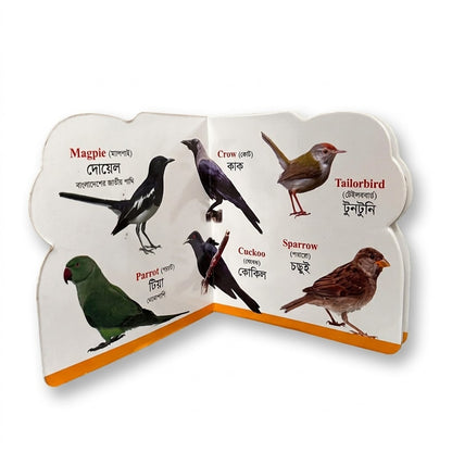 Birds