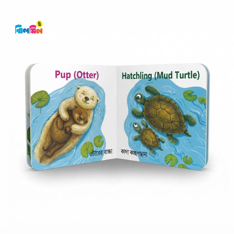 My First Baby Animal Boxset