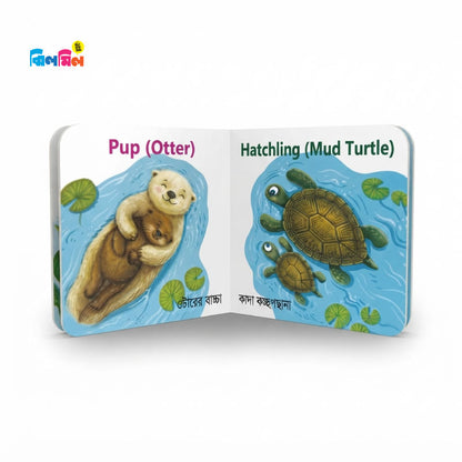 My First Baby Animal Boxset