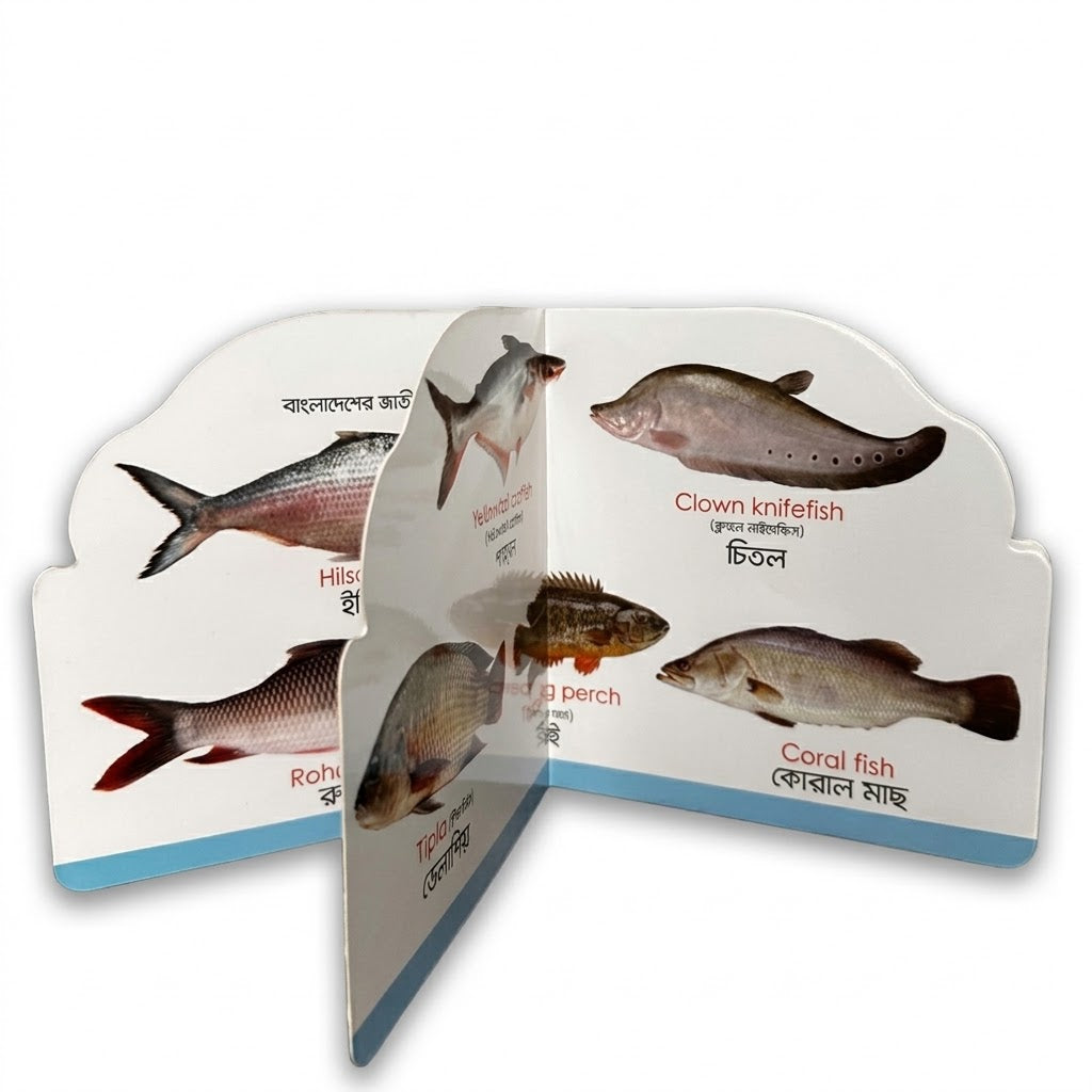 Fish