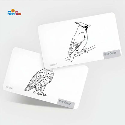 Birds Flash Cards