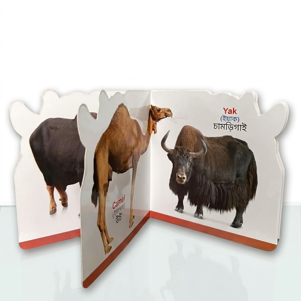 Farm Animals