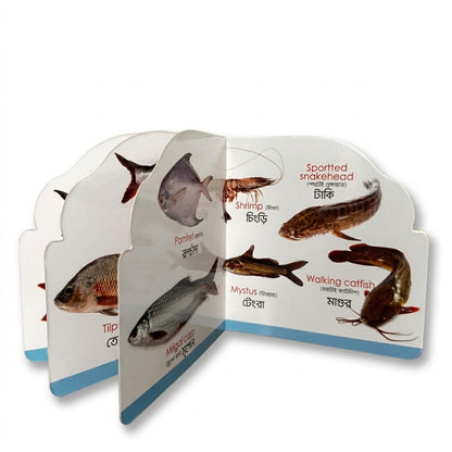 Fish
