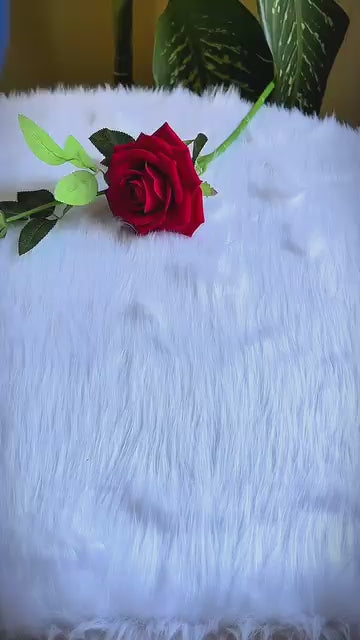 আদব সিরিজ (১০টি বই)