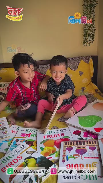 Big Picture Board Book (14 Books) + 8.5 Writing Tab